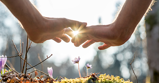 Protect your peace of mind with a trust protector