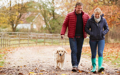 Catch-up retirement plan contributions = advantageous