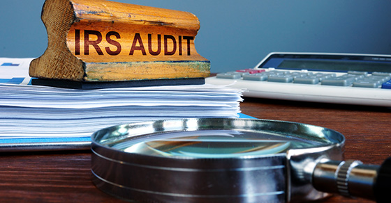Businesses can utilize the info IRS auditors use