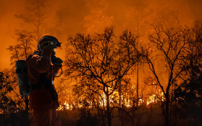 Casualty loss tax deductions may help disaster victims in certain cases