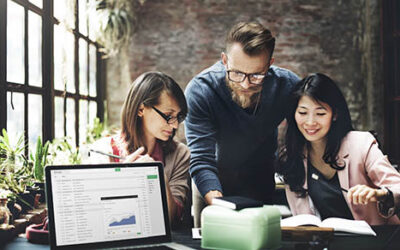 What’s the right entity type for your new business?