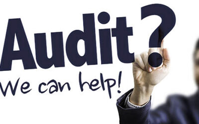 Business owner FAQs about IRS audits